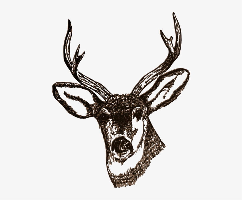 How To Set Use Deer Svg Vector, transparent png