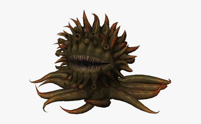 Png - Morbol Meme, transparent png