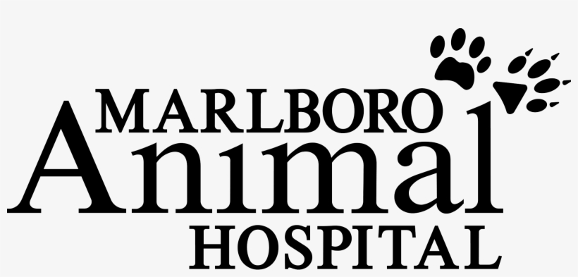 Marlboro Logojesseca Dapper2018 10 30t08 - Athelas, transparent png