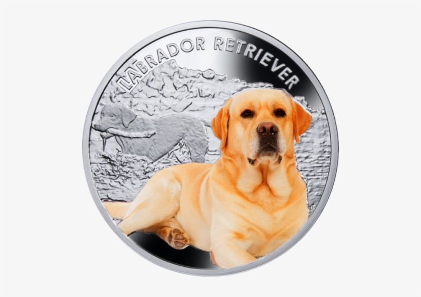 Niue Islands - Niue Island Coins, transparent png