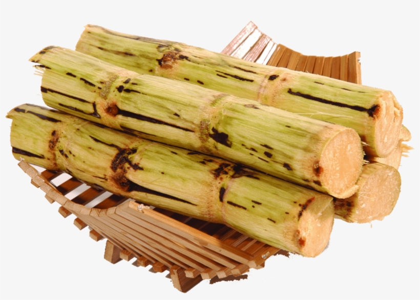 Sugar Cane - Cana De Açucar Png, transparent png