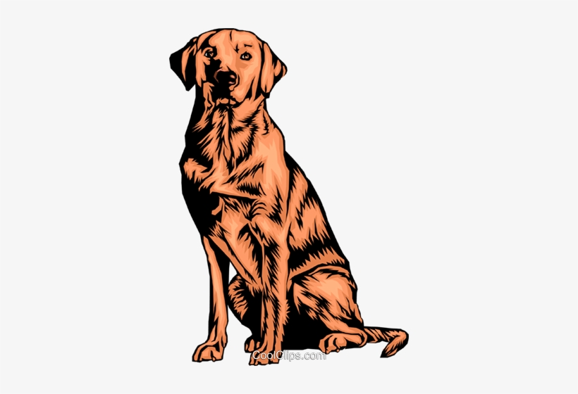 Labrador Retriever Royalty Free Vector Clip Art Illustration - Labrador-retriever.png Shower Curtain, transparent png