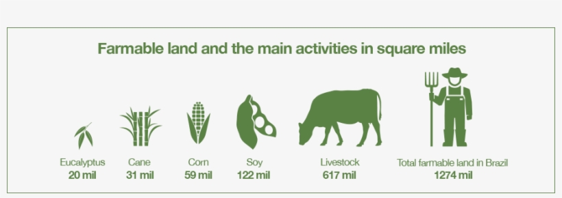 Brazil's Sugarcane Cultivation Is Concentrated In The - Dairy Cow, transparent png