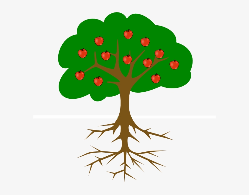 Clip Art Tree With Roots - Tree Clipart With Roots And Fruits, transparent png