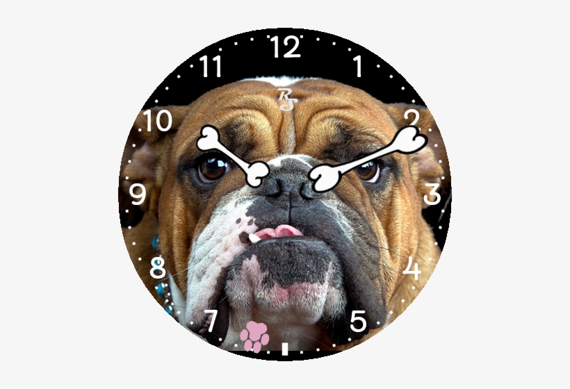 Bulldog Face - Dog Ki Photo Dikhao, transparent png