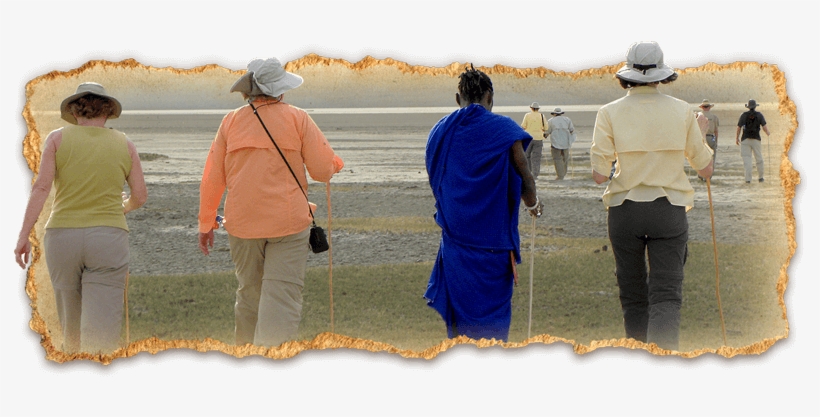 Share Your Aa Africa Safari Experience On Our Safarireviews - Walking, transparent png