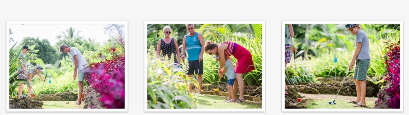 Tropical Mini Golf - Tropical Gardens Mini Golf, transparent png