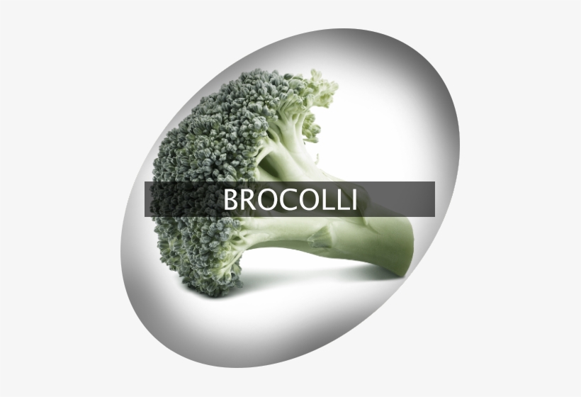 Landingimage Igrow Brocolli - Broccoli, transparent png