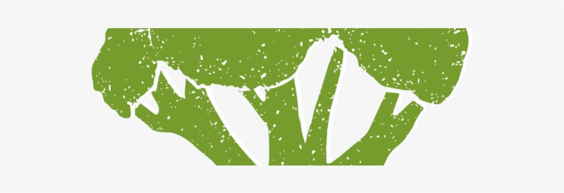 Brocolli-700x200 - Illustration, transparent png