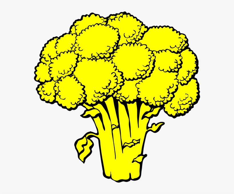 Small - Broccoli Colouring Pages, transparent png