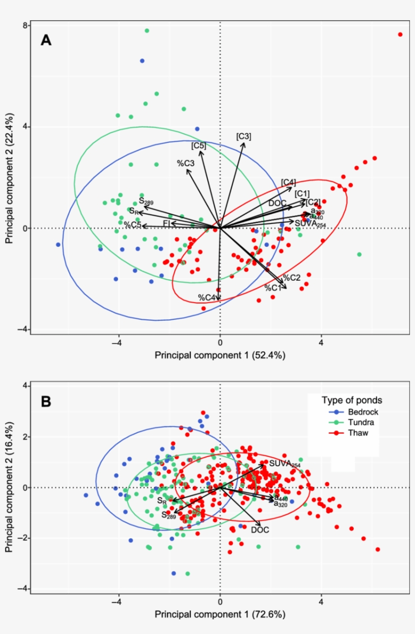 Pcas Of Dom Optical Variables Across Bedrock, Tundra, - Diagram, transparent png