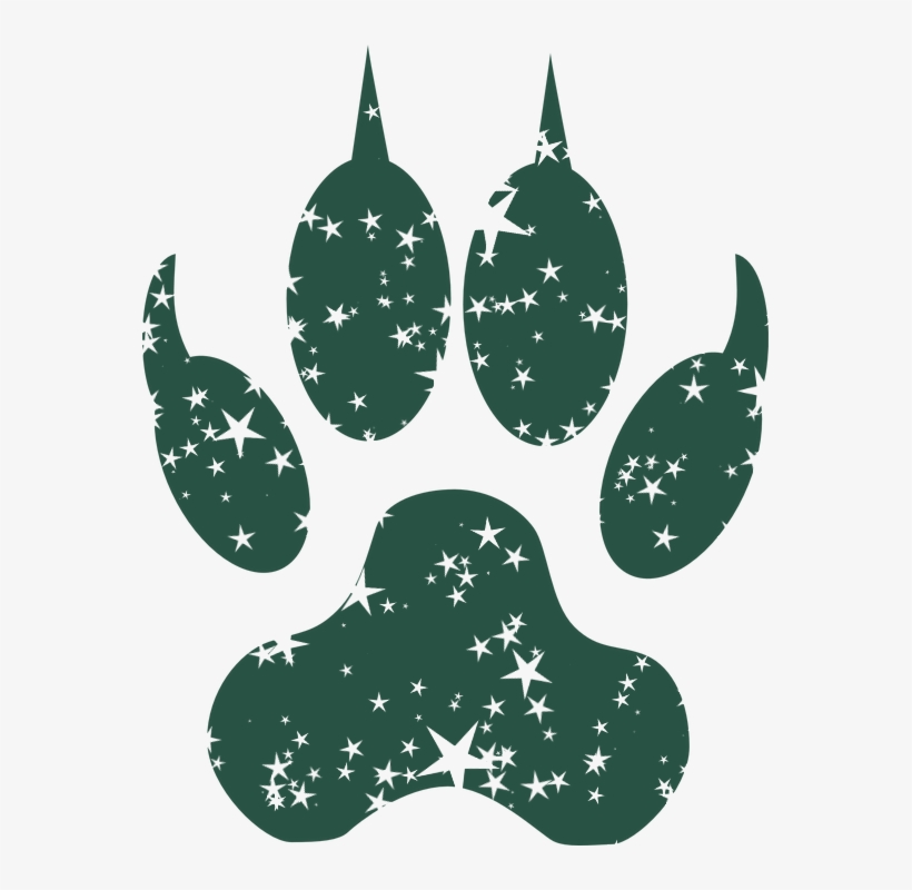 Footstep-159262 960 720bbb - Wolf Paw Print Transparent, transparent png