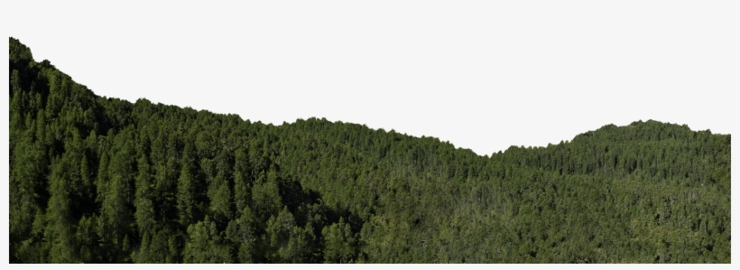Go To Image - Wald Transparent, transparent png