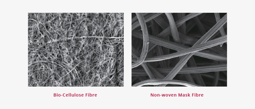 Bio-cellulose Fibre Adheres Perfectly To Your Skin - Fiber, transparent png