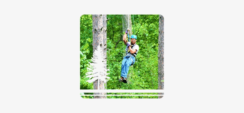 Co-owner Northwoods Zip Line - Rainforest, transparent png