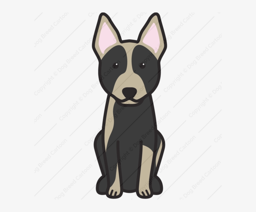 Australian Cattle Dog Cartoon - Australischer Vieh-hundecartoon Karte, transparent png