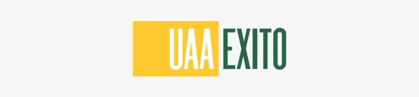 Uaa-exito - Amber, transparent png