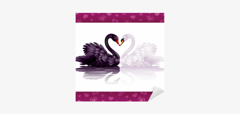 Two Graceful Swans In Love - Swan Png, transparent png