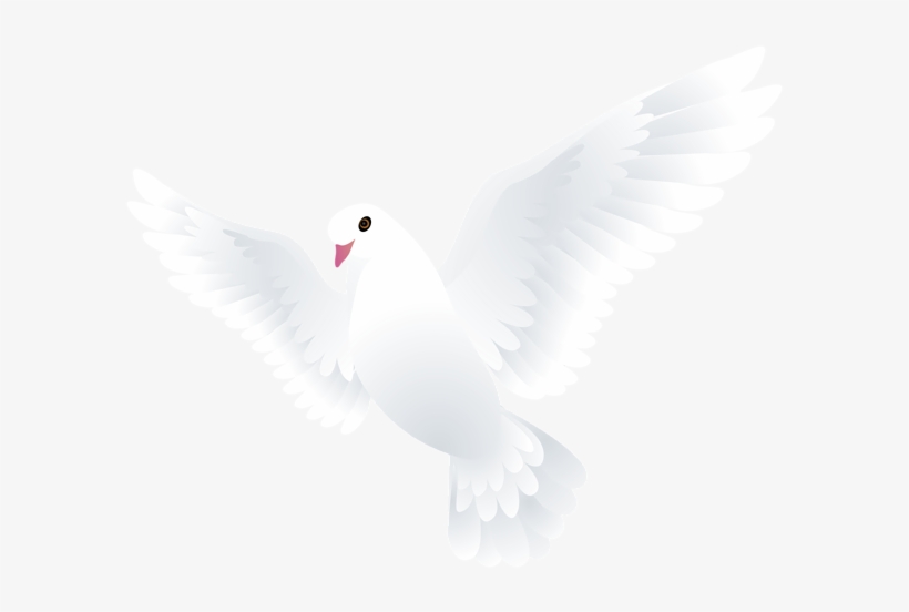 0, - Portable Network Graphics, transparent png