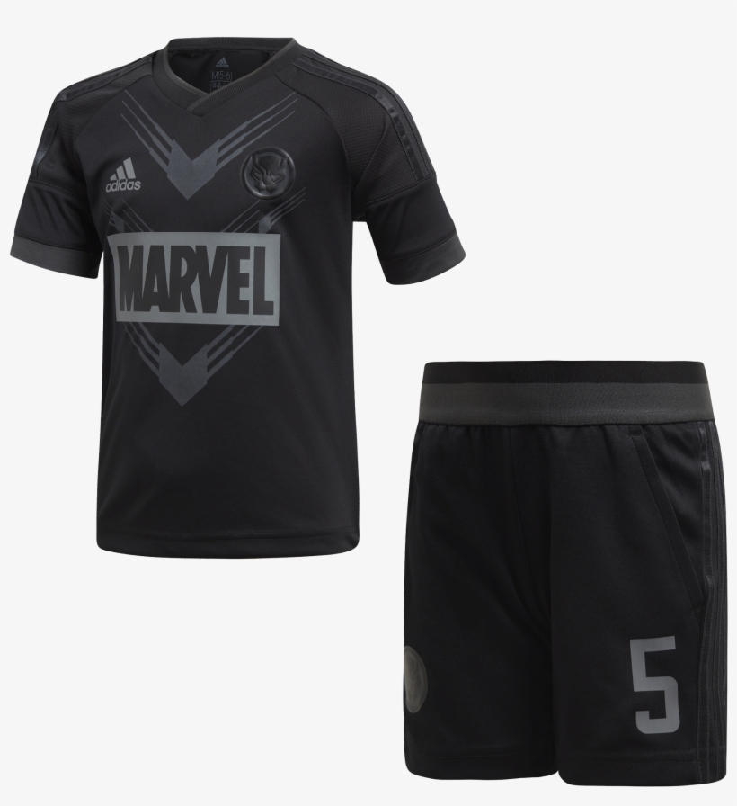 T'challa Png, transparent png