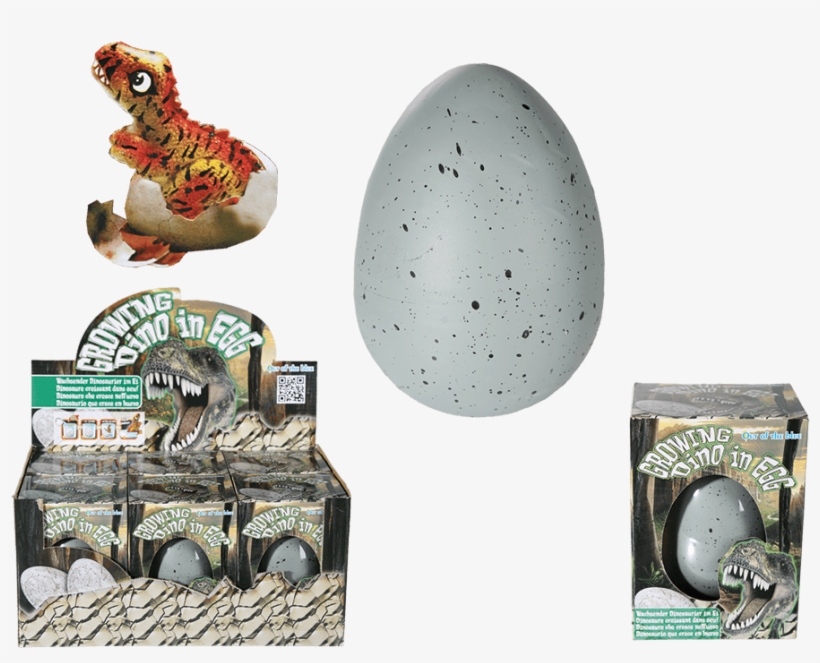 Big Buy Water Dinosaur Egg, transparent png