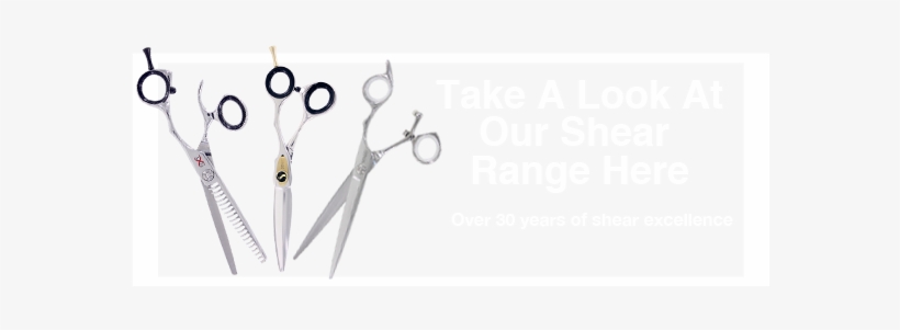 Cta Sensei Shears Home Page For Blog - Blog, transparent png
