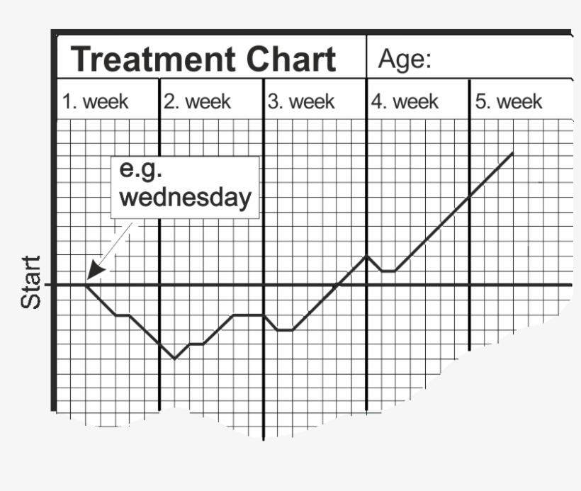 The First Night Begins On The Fat Horizontal Line , - Non-uniform Rational B-spline, transparent png