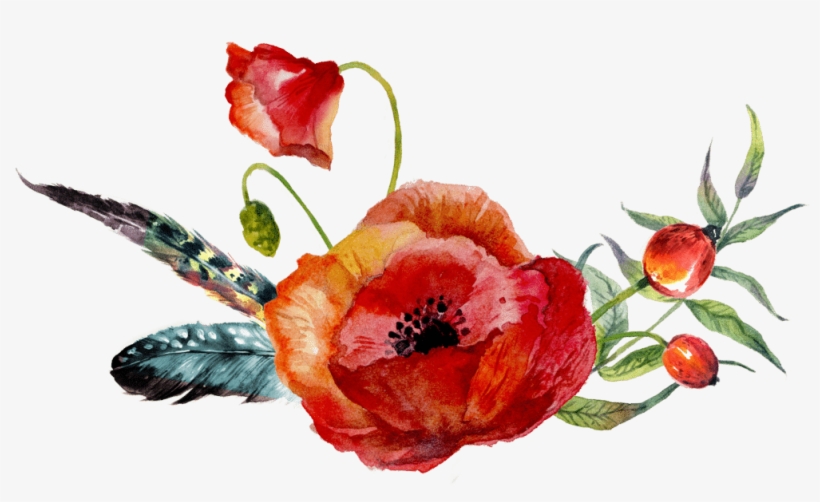 Flower Clipart Watercolor Painting Poppy Drawing Watercolour - Poppy Flower Watercolor Png, transparent png