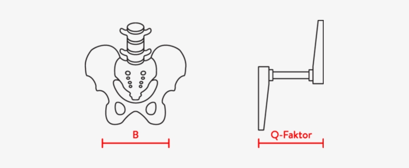 Woom Q Factor - Q Faktor, transparent png