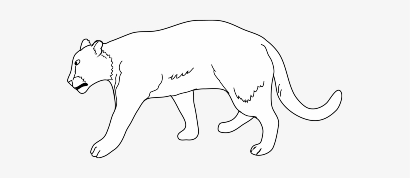 White Lion Clipart Mammal - Lioness Clipart Black And White, transparent png