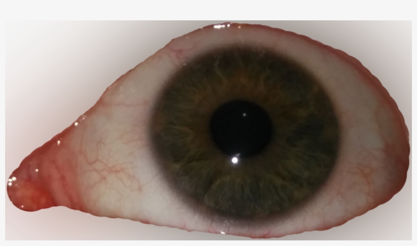 8796667 - >> - Close-up, transparent png