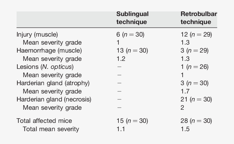 Histological Results Of Tongue And Eye Region Tissue - Henkel, transparent png