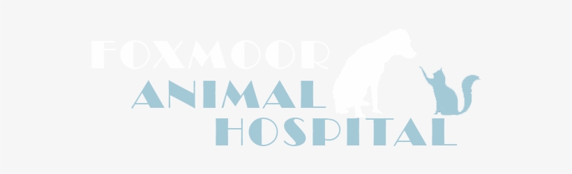 Find Us On Facebook - Foxmoor Animal Hospital, transparent png