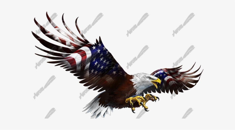 American Eagle Flight Side - Flight Of The Eagle, transparent png