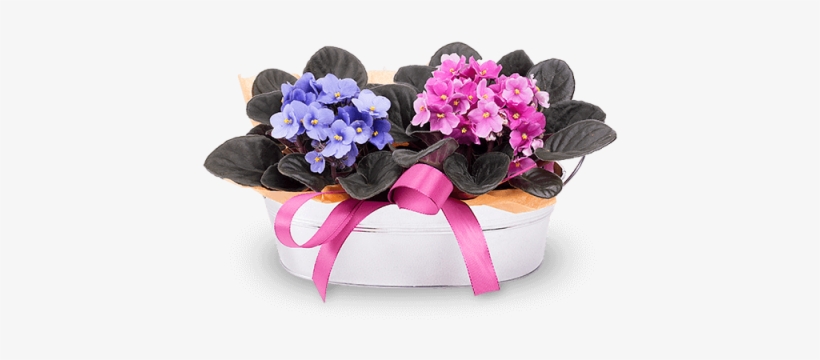 Joy In A Basket - Violetas, transparent png
