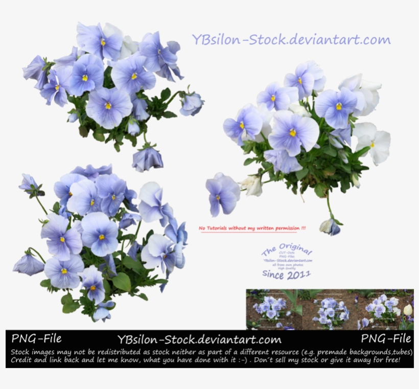 Mauve Violet By Ybsilon-stock On Deviantart - February 8, transparent png