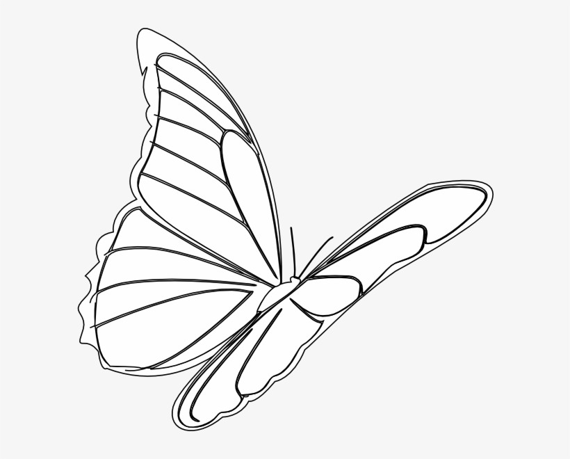 Download How To Set Use Butterfly Flying Svg Vector 600x580 Png Download Pngkit