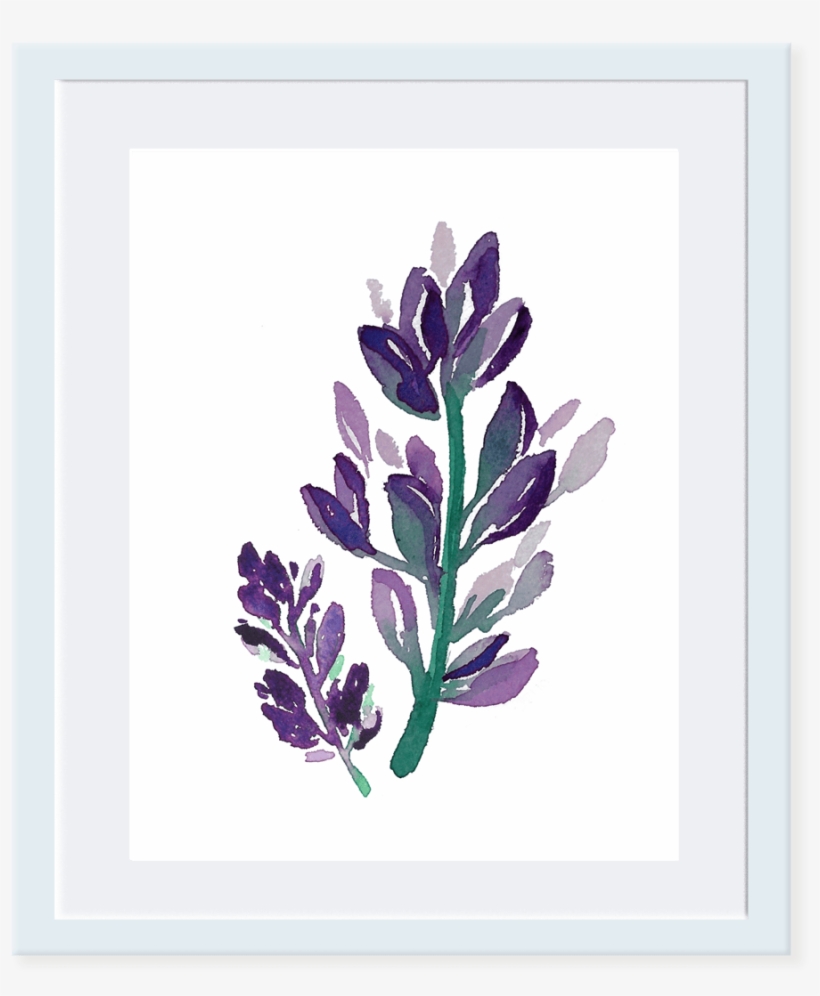 Sweet Violet - Lavandula Lanata, transparent png
