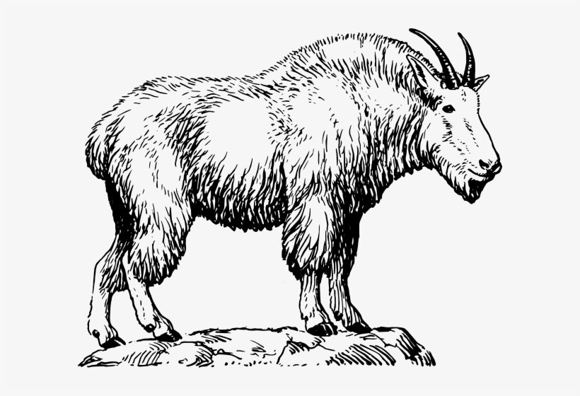 How To Set Use Mountain Goat Svg Vector, transparent png