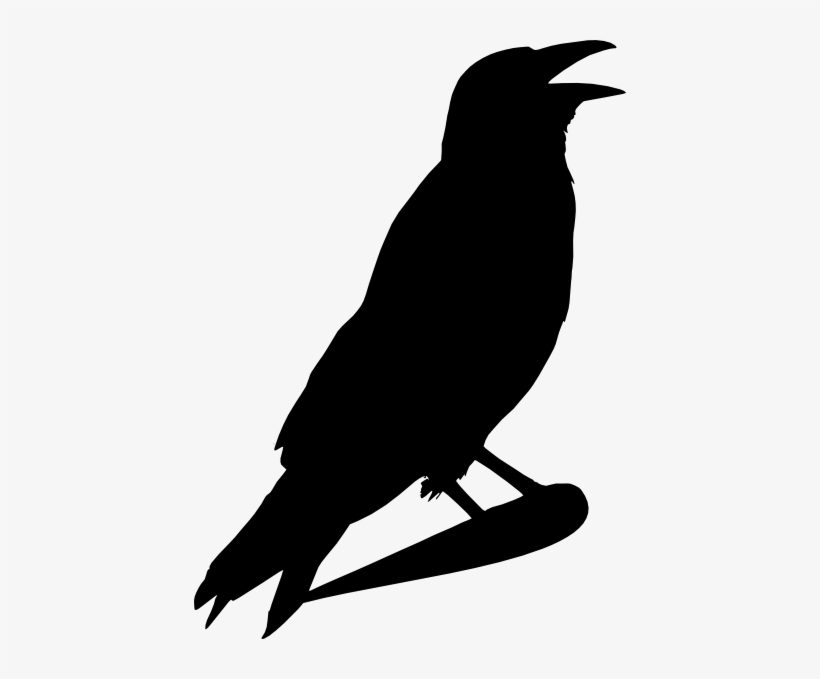 Black Crow Png Image - Clip Art Of Crow - 432x599 PNG Download - PNGkit