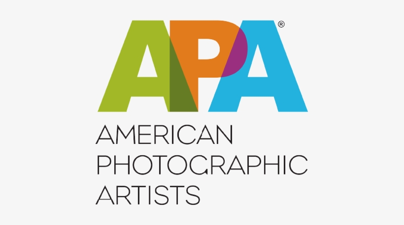Apa Logo National - Chanel Logo With Color, transparent png