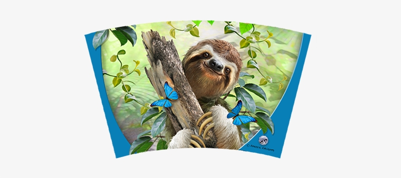 Sloth - Tree-free Greetings Eco Coasters Box Set Selfie (ec96903), transparent png