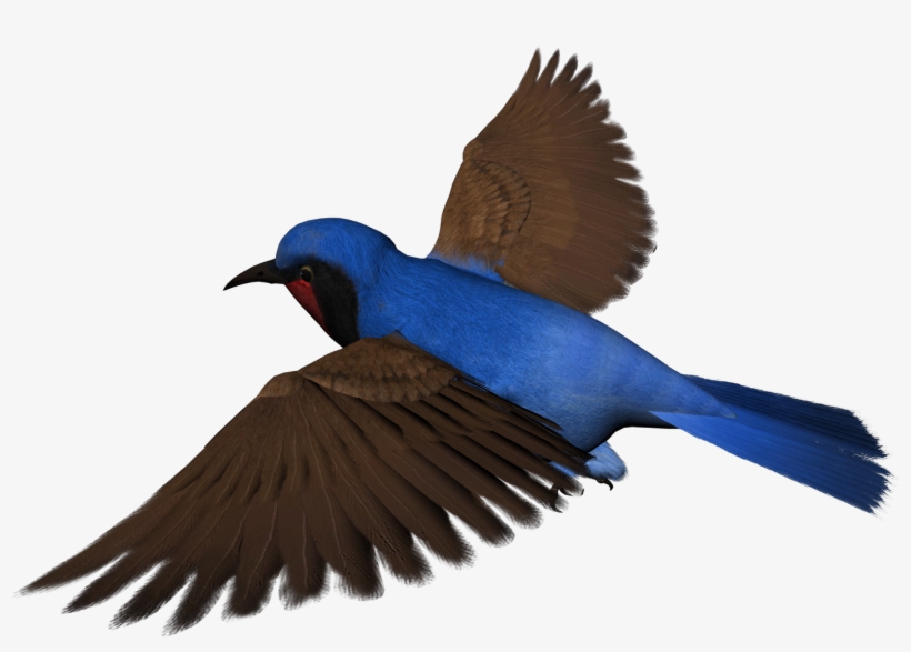 Bee Birds Cliparts Free Download Clip Art Free Clip - Free Bird Clipart Png, transparent png