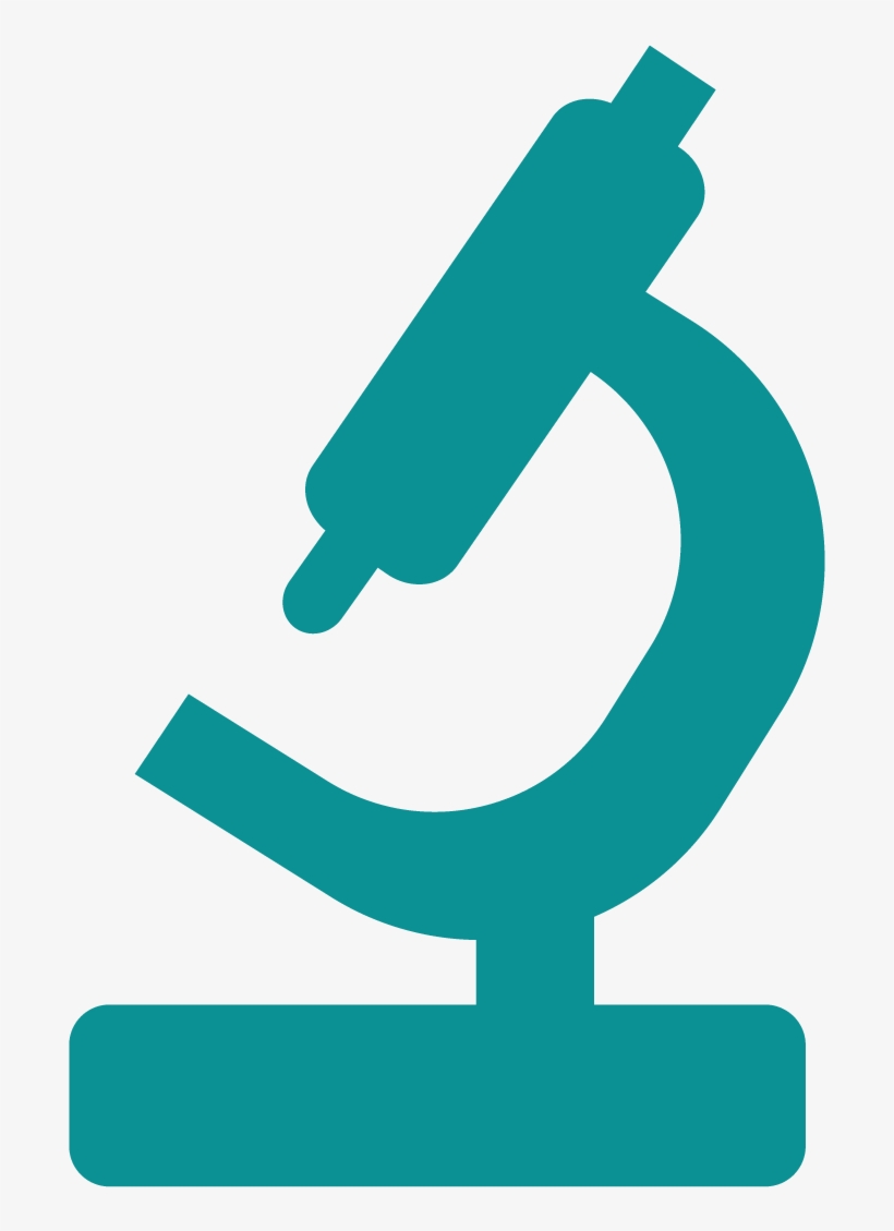 Real Birds Png - Recherche Scientifique Png, transparent png