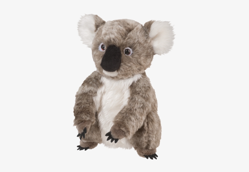 Douglas Aussie Koala, transparent png