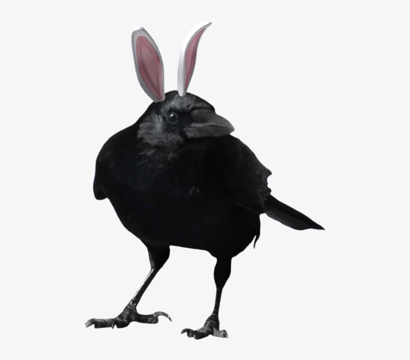 Post - Dc Titans Raven, transparent png