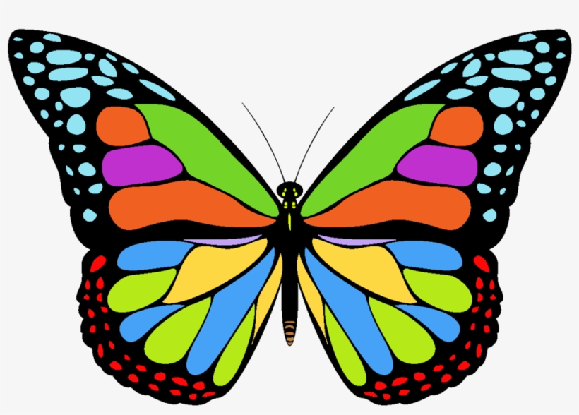 Free Icons Png - Coloring Image Of Butterfly, transparent png