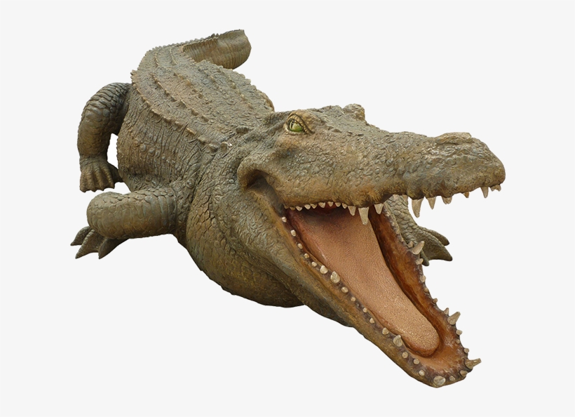 Crocodile Free Png Transparent Background Images Free - Philippine Crocodile Png, transparent png