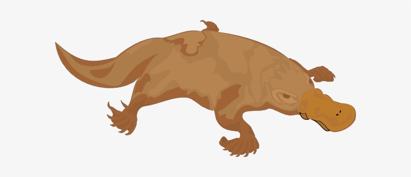 Crocodile Alligator Svg Clip Arts 600 X 273 Px, transparent png