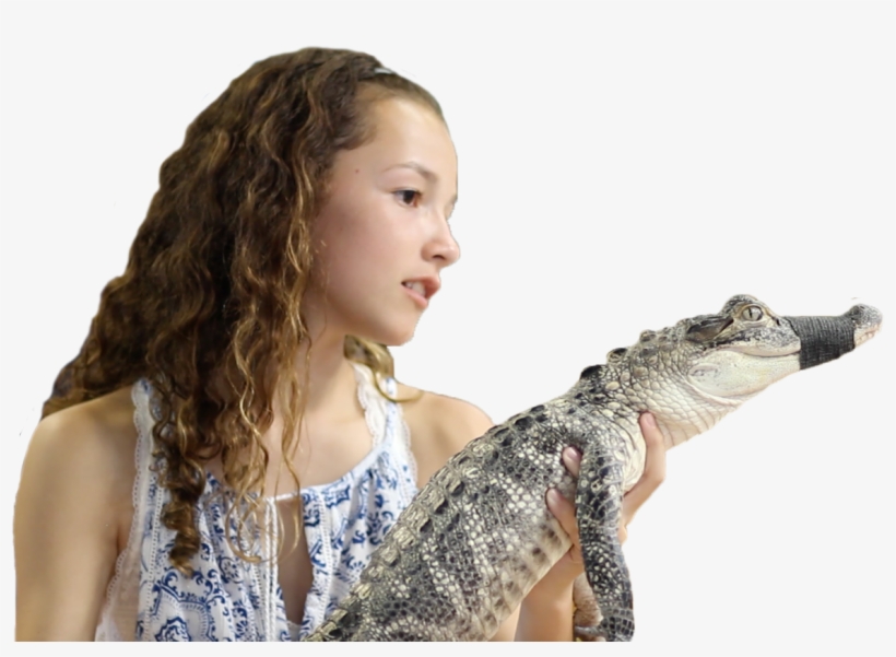 Interesting Articles And Facts - American Crocodile, transparent png